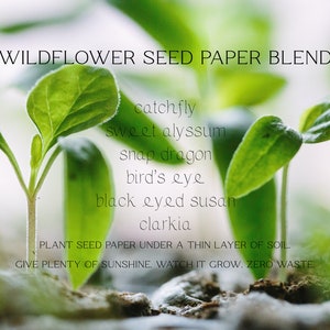 Butterfly Wildflower Seed Favors Sustainable Favors Seed Packets Custom Seed Paper Favors Sustainable Wedding Favors Zero Waste image 6