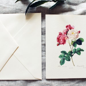 Pink Rose Folded Notecards With Envelopes | Blank Note Card Set ...