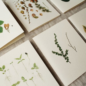Greenery Greeting Cards Variety Set of 10 With Envelopes With Envelopes ...