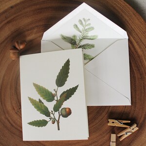 Lot de 10 cartes de voeux d'automne glands de Noël avec enveloppes | Jeu de cartes de voeux vierges | Cartes de correspondance vintage Cartes de correspondance pliées faites main