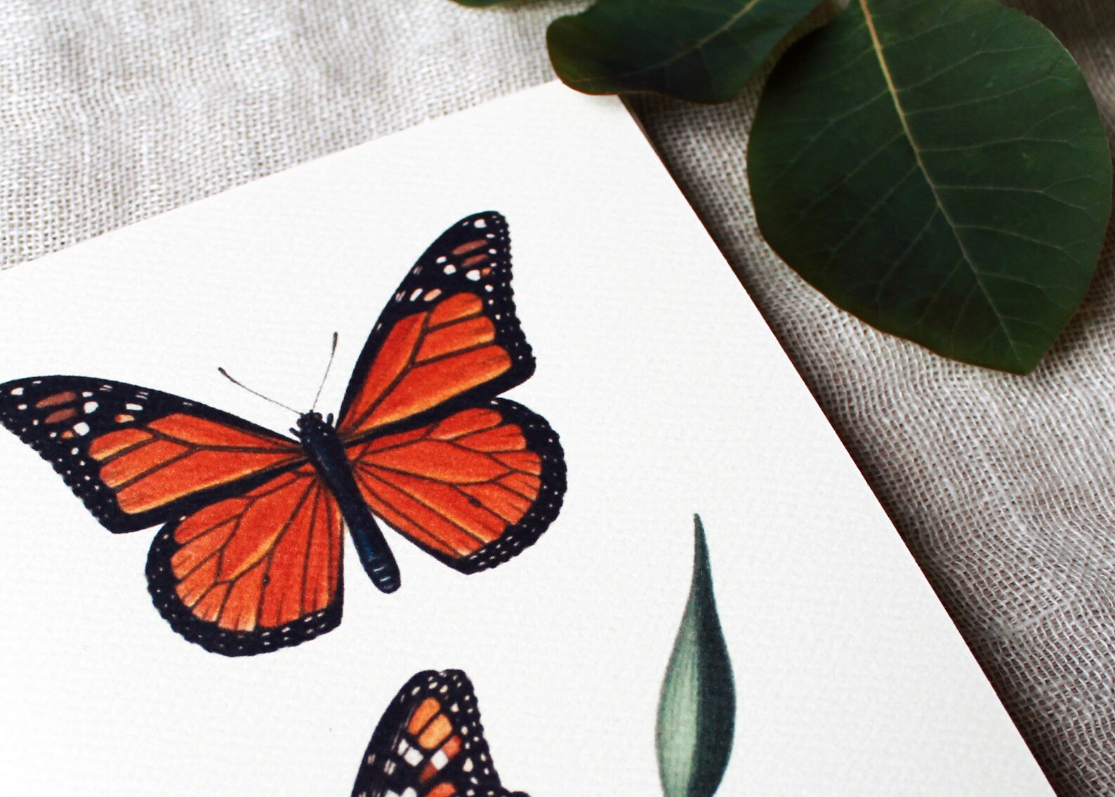 10 Butterfly Folded Note Cards With Envelopes | Monarch Greeting Card ...