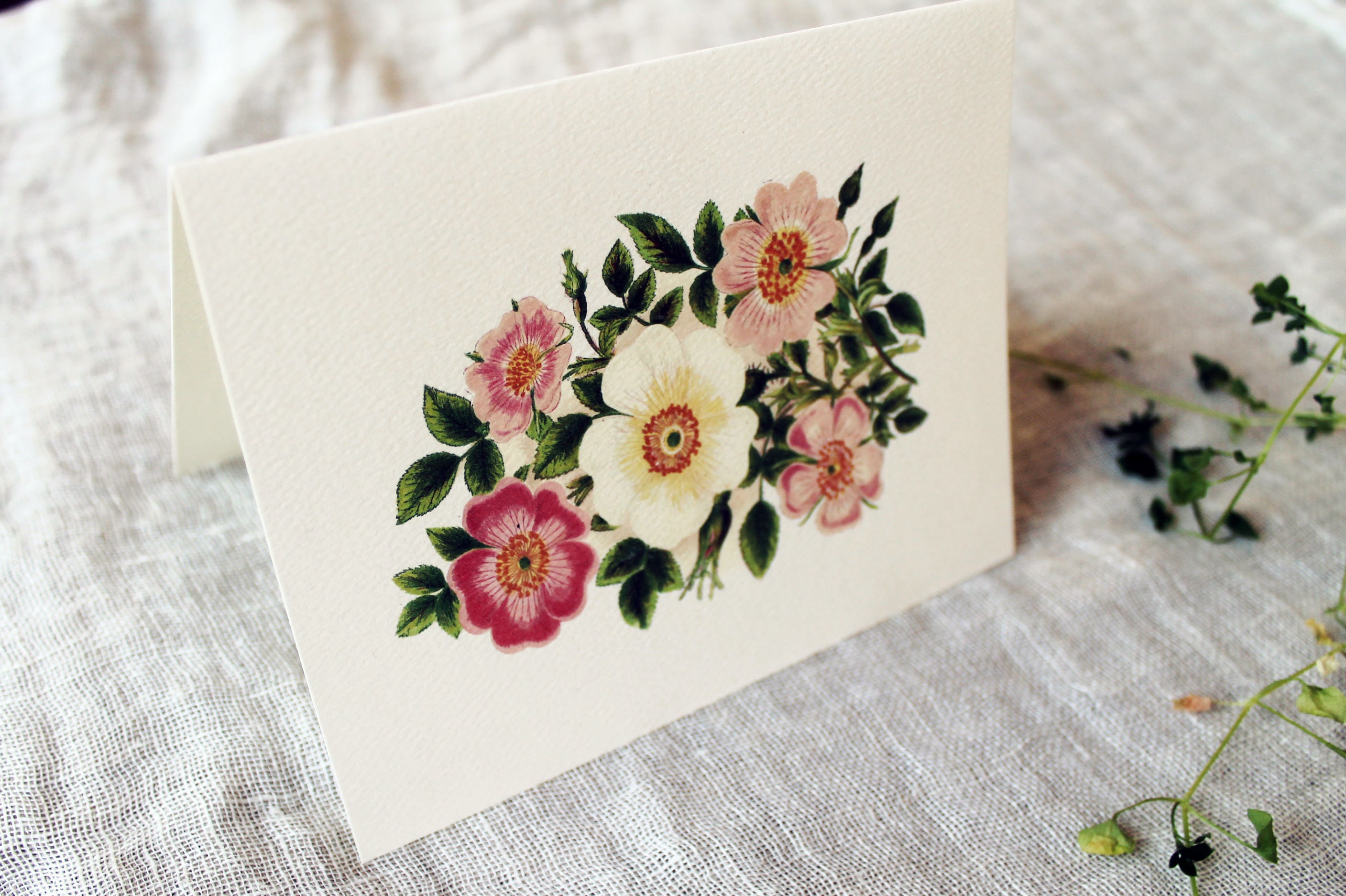 Pink Flower Greeting Cards With Envelopes | Floral Blank Greeting Cards ...