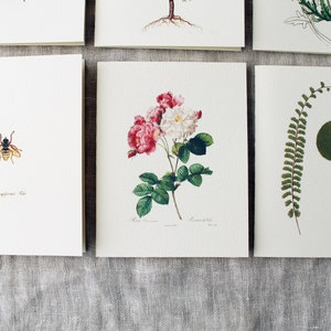 Floral Variety Folded Note Cards Set of 10 - Etsy