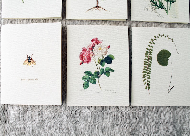 Floral Variety Pack 10 Folded Note Cards with Envelopes Floral Blank Note Card Set Flower Greeting Cards Handmade Spring Greeting Card image 3