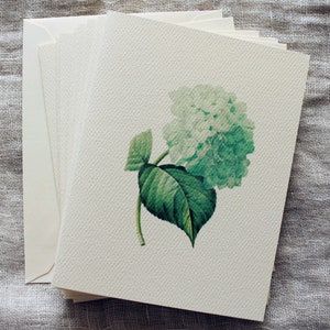 Cartes de correspondance pliées avec enveloppes bleues hortensia | Lot de 10 | Cartes de voeux de printemps | de remerciements floraux | Cartes de correspondance florales
