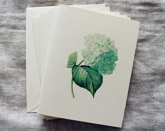 Cartes de notes pliées hortensia bleu avec enveloppes | Ensemble de 10 | Cartes de vœux de printemps | Cartes de remerciement aux fleurs | Cartes de notes florales