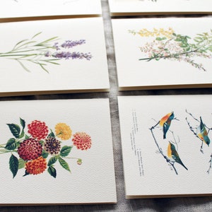 Floral Variety Folded Note Cards Set of 10 - Etsy