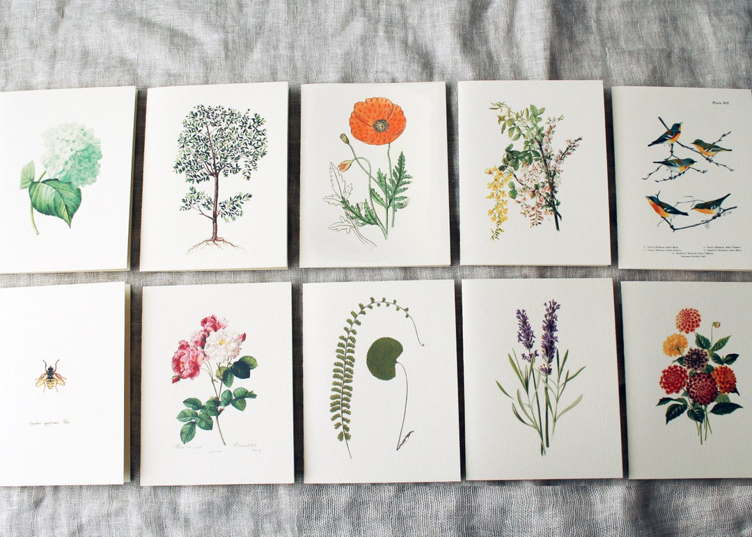 Floral Variety Folded Note Cards Set of 10 - Etsy