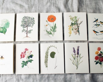 Floral Variety Pack 10 Folded Note Cards with Envelopes | Floral Blank Note Card Set | Flower Greeting Cards Handmade | Spring Greeting Card