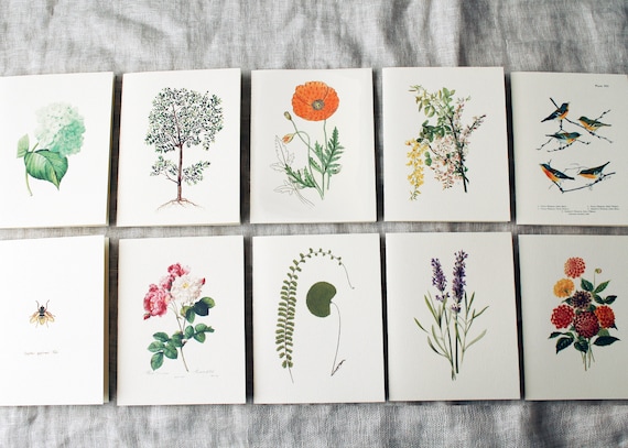floral note cards and envelopes