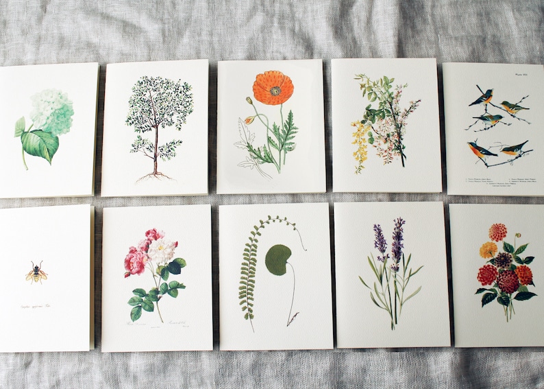 Floral Variety Pack 10 Folded Note Cards with Envelopes Floral Blank Note Card Set Flower Greeting Cards Handmade Spring Greeting Card image 1