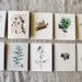 Winter Greeting Cards | Holiday Card Set | Vintage Blank Folded Cards | Variety Pack Folded Notecards | Add Envelope Liners Optional 