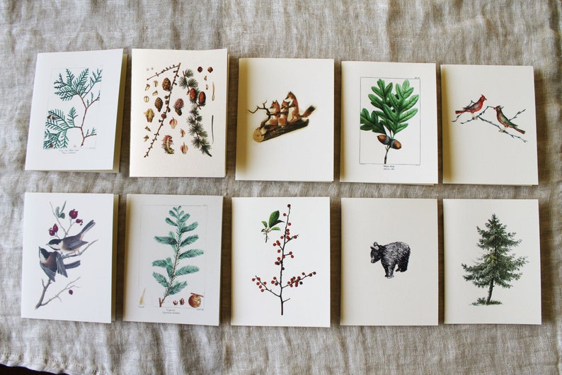 Winter Greeting Cards | Holiday Card Set | Vintage Blank Folded Cards | Variety Pack Folded Notecards | Add Envelope Liners Optional 