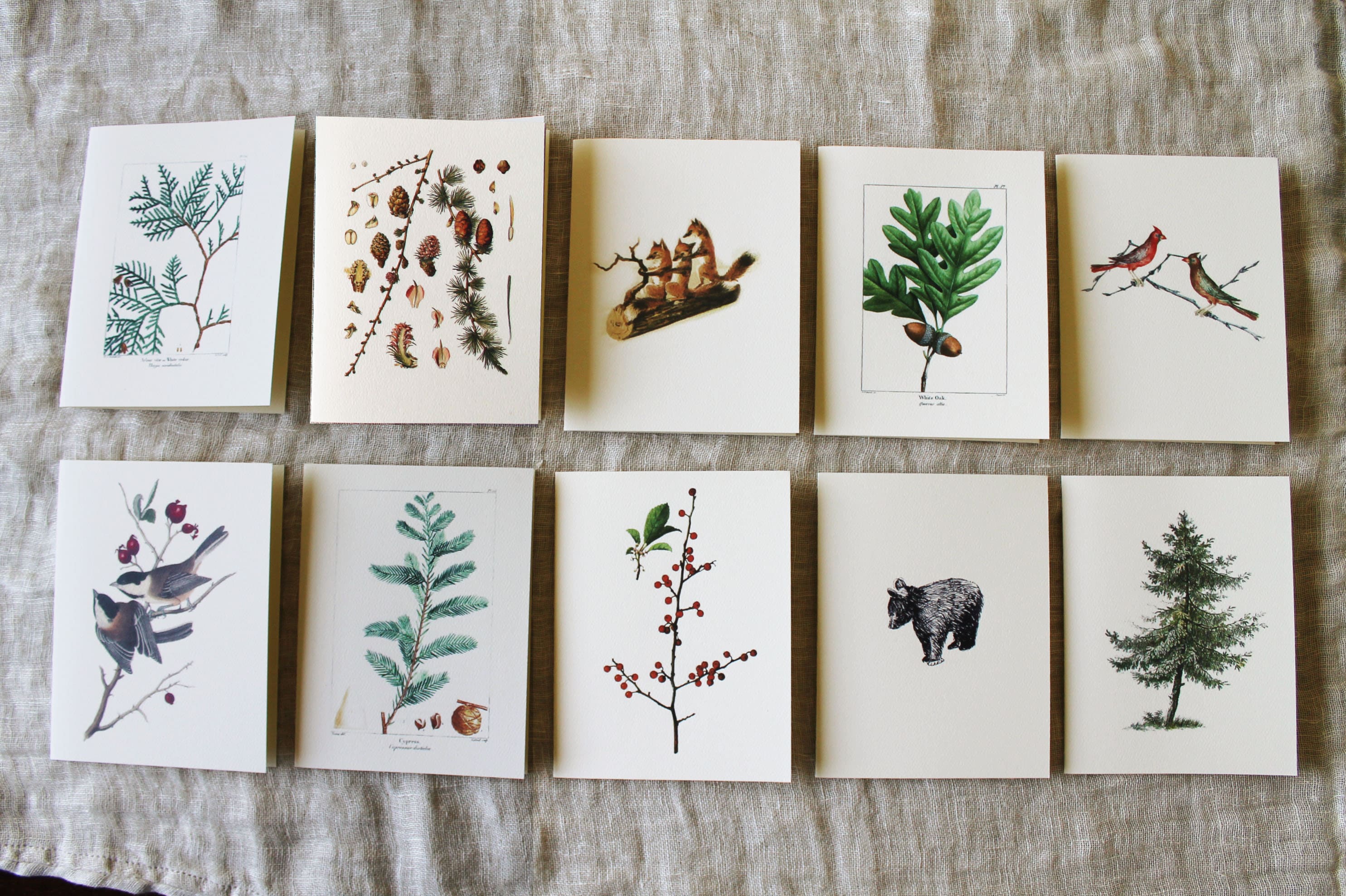 Winter Greeting Cards for the Holidays Set of 10 with Envelopes