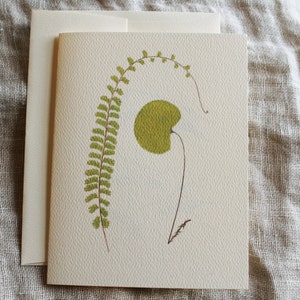 Groene varenwenskaarten met enveloppen | Botanische gevouwen notitiekaartenset | Blanco wenskaarten handgemaakt | Vintage notitiekaarten gepersonaliseerd