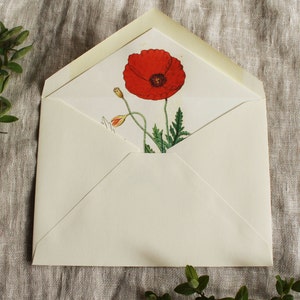 Forro de sobre de amapola roja / Sobres forrados florales a2 / Forro de sobre de flores a7 / Forro de sobre imprimible / Forros de invitación de boda de amapola