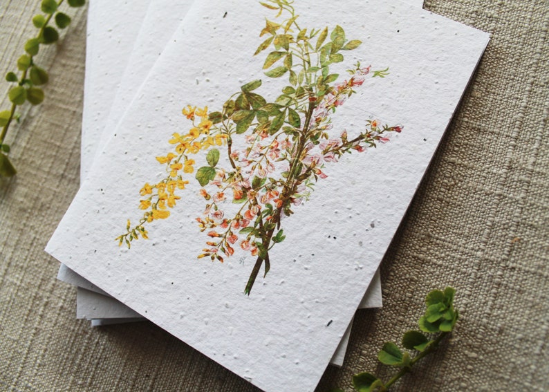 May include: A stack of white seed paper cards with a floral design featuring pink and yellow flowers. The paper has a speckled texture.