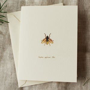 Cartes de correspondance pliées avec enveloppes Bee, lot de 10 à l'intérieur vierges pour écrire votre propre message d'accueil