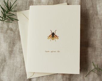 10 Bee Folded Note Cards with Envelopes | Blank Greeting Card Set | Vintage Note Cards Handmade | Spring Greeting Cards | Honey Bee Gifts