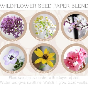 Nature-Themed Seed Paper Blank Greeting Cards Pack of 10 Biofriendly Cards image 6