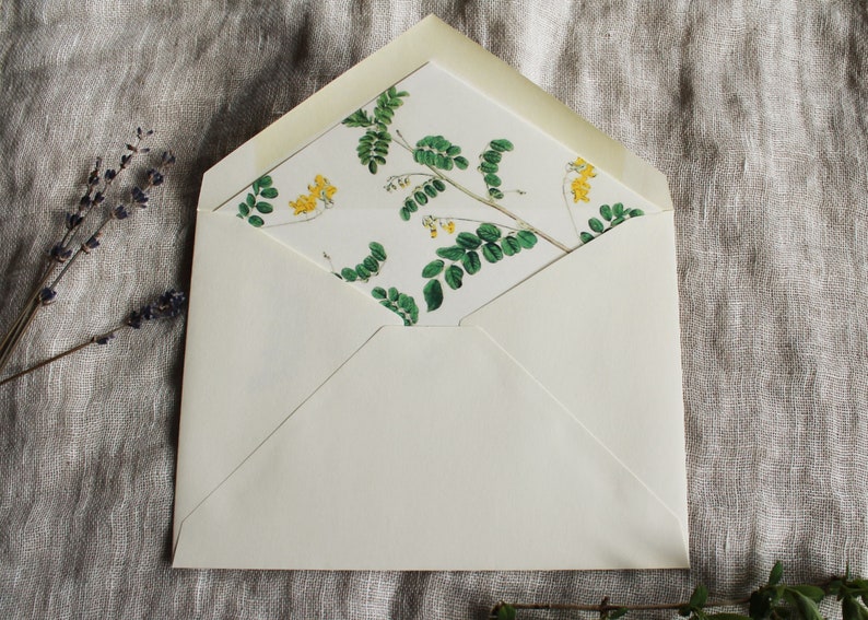 Tarjetas de notas de abejas con sobres / Conjunto de 24 tarjetas de notas de abejas hechas a mano / Tarjetas de felicitación rústicas / Regalo de bosque para ella / Regalo de jardín para la abuela imagen 6