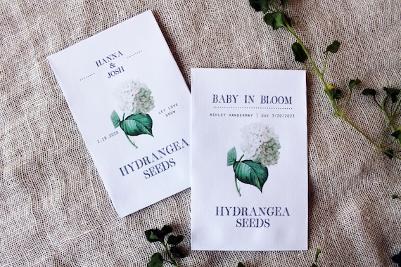 Hydrangea seeds best sale