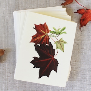 Ensemble de 10 cartes de voeux d'automne avec enveloppes | Jeu de cartes de voeux vierges | Cartes de correspondance vintage Cartes de correspondance pliées faites main