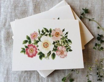 Tarjetas de felicitación de flores rosas con sobres / Tarjetas de felicitación florales en blanco / Tarjetas plegadas en blanco / Tarjetas de notas plegadas