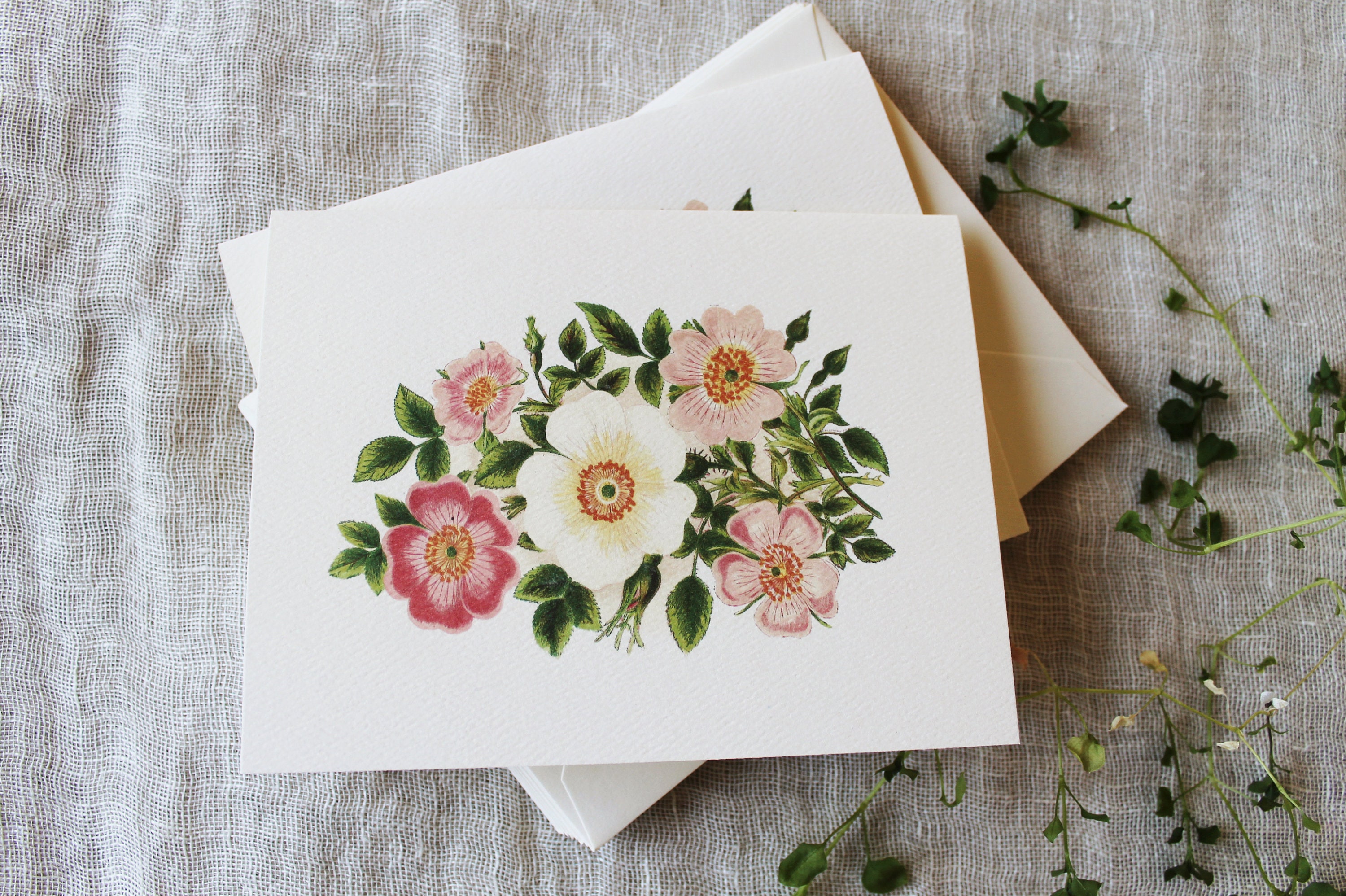 Pink Flower Greeting Cards With Envelopes | Floral Blank Greeting Cards ...