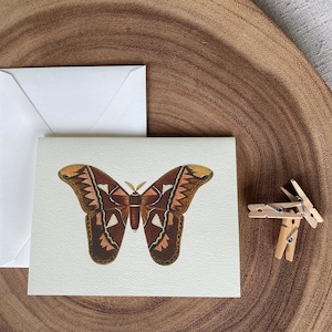 Cartes de correspondance pliées en forme de papillon de nuit, lot de 10 avec enveloppes | Jeu de cartes de voeux vierges | Cartes de correspondance vintage Cartes de voeux faites main