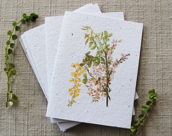 10 Wildflower Folded Notecards with Envelopes | Botanical Blank Note Cards Set | Vintage Greeting Cards | Floral Note Cards | Gift for Her