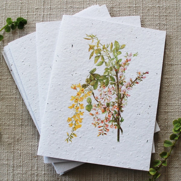 10 Wildflower Folded Notecards with Envelopes | Botanical Blank Note Cards Set | Vintage Greeting Cards | Floral Note Cards | Gift for Her