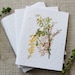 see more listings in the Cards & Note Cards section