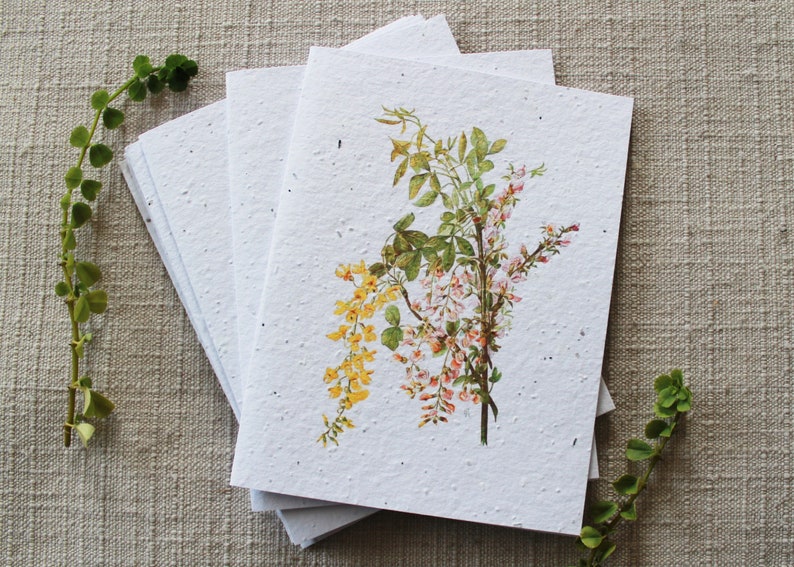 May include: A stack of white seed paper cards with a floral illustration of pink and yellow flowers with green leaves. The cards are blank and ready for writing.