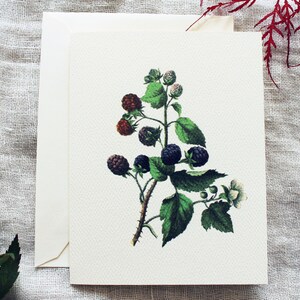 10 cartes de correspondance pliées Blackberry avec enveloppes | Cartes de voeux aux petits fruits faites main | jeu de cartes vintage | Cartes Woodland | Cadeau jardinier pour elle