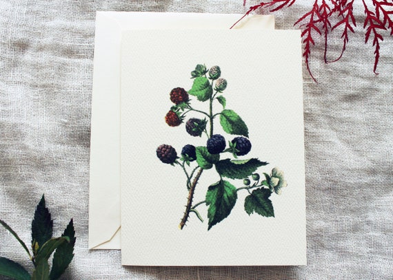 10 Blackberry Folded Note Cards with Envelopes | Berry Greeting Cards Handmade | Vintage Cards Set | Woodland Cards | Gardener Gift for Her