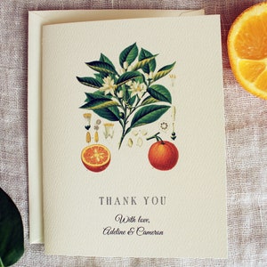 Set di biglietti di ringraziamento per matrimonio con fiori d'arancio / Biglietti di ringraziamento agli agrumi / Biglietti di ringraziamento per baby shower all'ingrosso con fiori d'arancio / Biglietti di ringraziamento per bridal shower