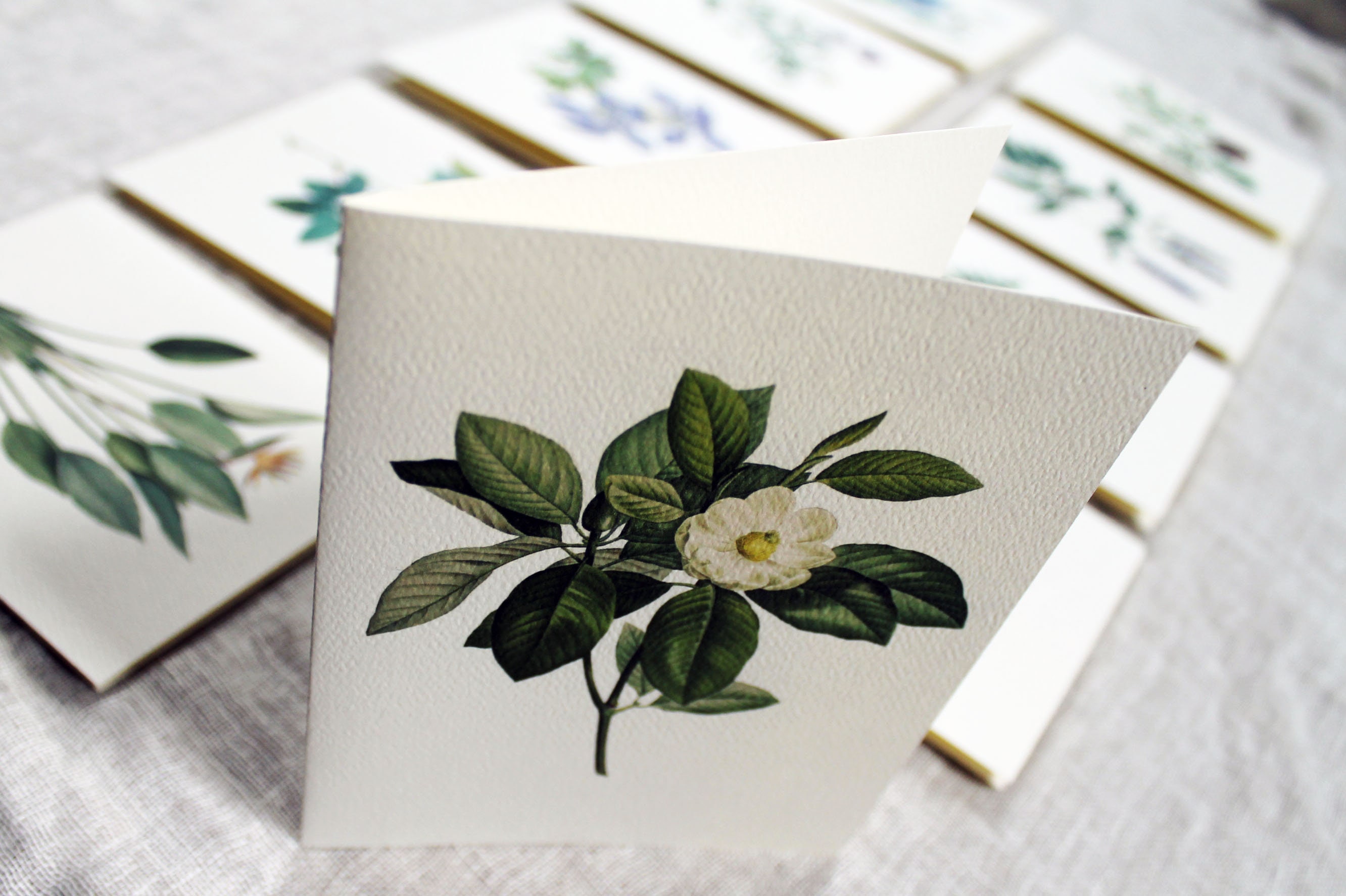 10 Flower Greeting Cards Set | Flower Blank Note Cards Set | Greeting ...