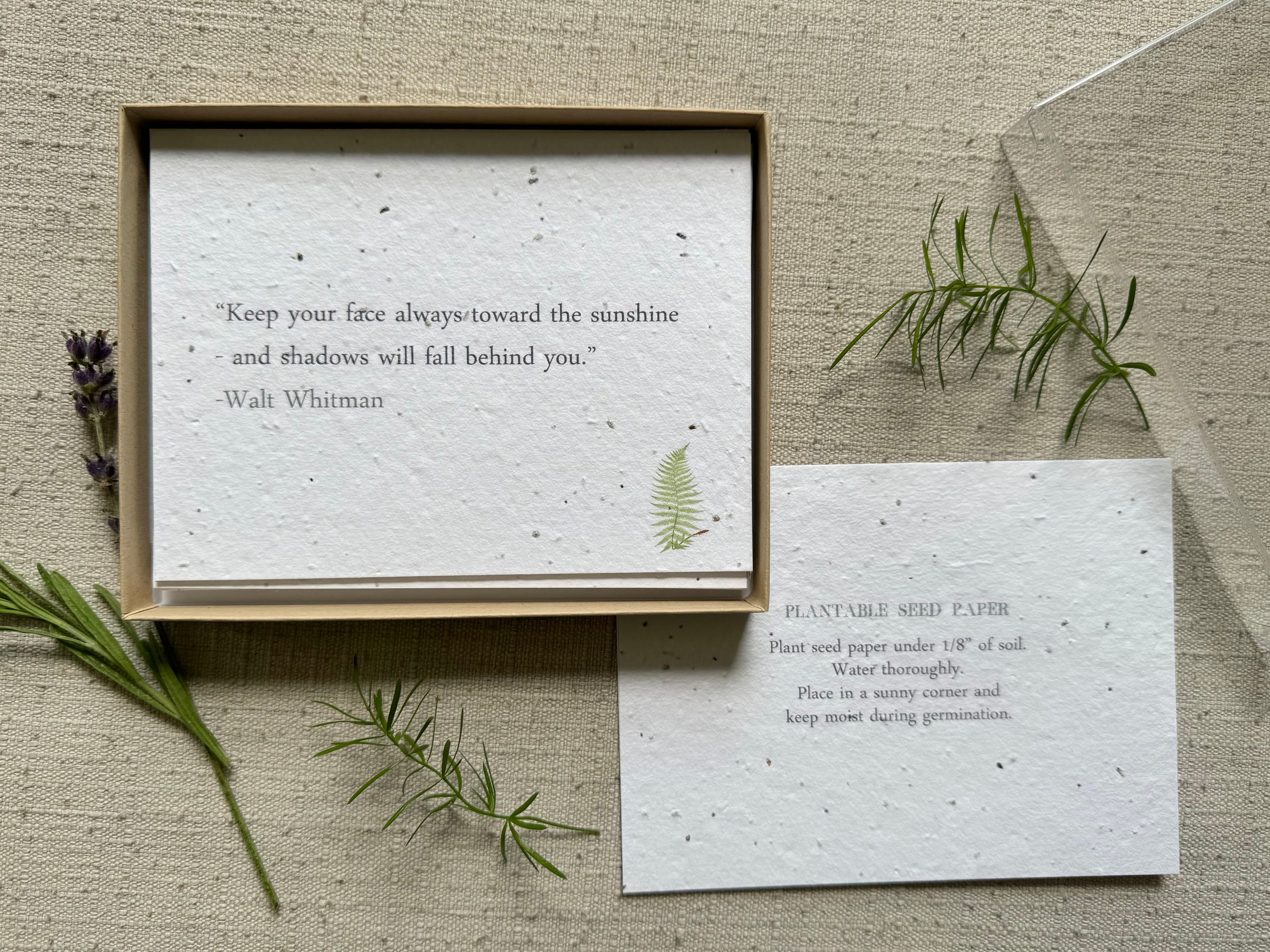 Inspirational Quote Cards Set Boxed for Mindfulness Gift