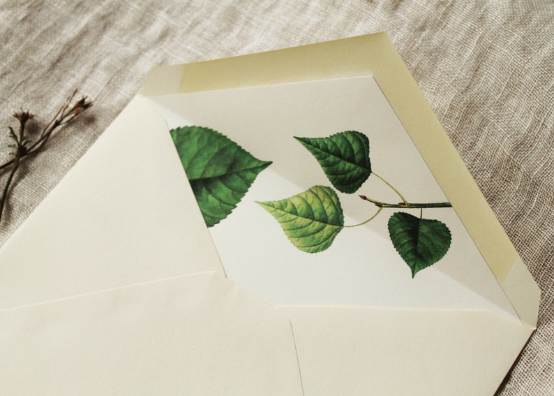 Pu&ograve; includere: Una busta bianca con un disegno di foglie verdi sul lembo interno. Le foglie sono dipinte in uno stile realistico e sembrano provenire da un ramo.