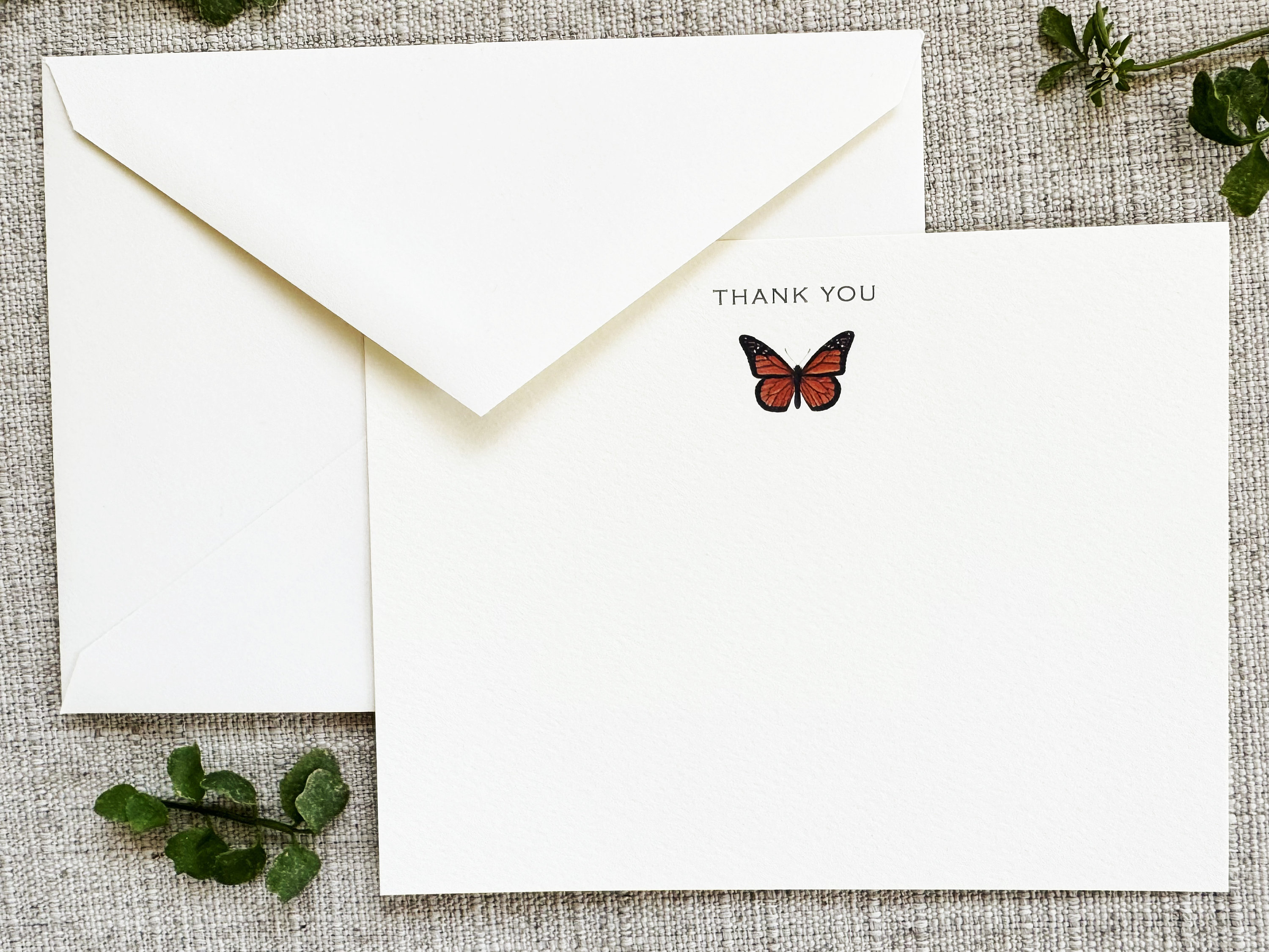 Monarch Butterfly Stationery Notecards - Set of 24 Note Cards With ...