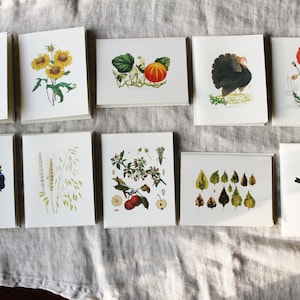 Ensemble de cartes de voeux d'automne | Ensemble de cartes de voeux d'automne | Jeu de 10 cartes de correspondance vierges pliées avec enveloppes | Pack varié fait main