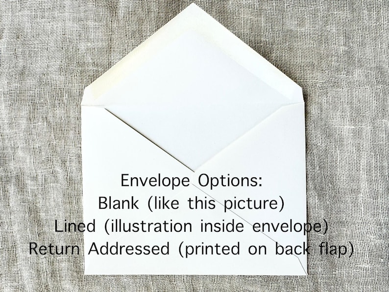 10 Wildflower Folded Notecards with Envelopes | Botanical Blank Note Cards Set | Vintage Greeting Cards | Floral Note Cards | Gift for Her image 11