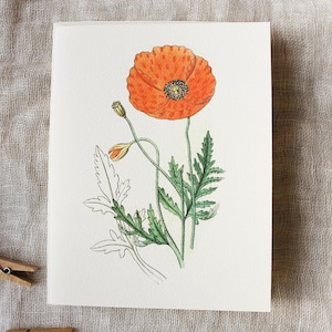 Floral Variety Folded Note Cards Set of 10 - Etsy