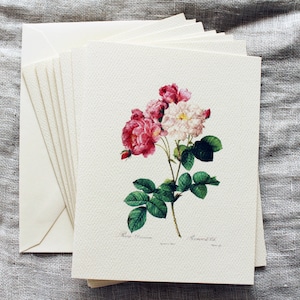Cartes de correspondance pliées roses roses avec enveloppes | Jeu de cartes de correspondance vierges | Carte de voeux florale | Cartes botaniques faites main avec des fleurs | Carte de printemps