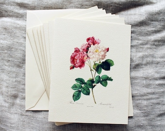 Cartes de correspondance pliées roses roses avec enveloppes | Jeu de cartes de correspondance vierges | Carte de voeux florale | Cartes botaniques faites main avec des fleurs | Carte de printemps