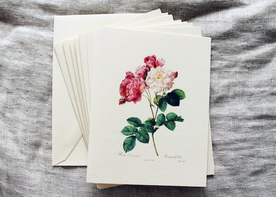 Pink Rose Folded Notecards with Envelopes | Blank Note Card Set | Floral Greeting Card | Botanical Handmade Cards with Flowers | Spring Card