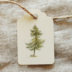 Pine Tree Holiday Gift Tags | Christmas Gift Tags | Rustic Favor Tags | Winter Wedding Scallop Tags | Rustic Baby Shower Tags