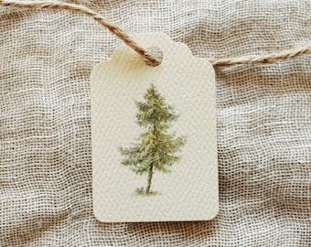 Pine Tree Holiday Gift Tags | Kerst cadeau tags | Rustic Favor Tags | Winter Bruiloft Sint-jakobsschelpen Tags | Rustieke Baby Douche Tags