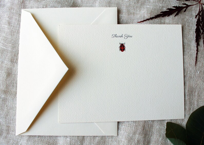 Pu&ograve; includere: Un biglietto di ringraziamento bianco con una piccola illustrazione di coccinella rossa e il testo "Grazie".